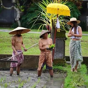 Umae Ubud (Bali)