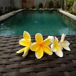 Eka Bali Гостевой дом